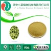 厂家直供绿咖啡豆提取物 咖啡绿原酸 50%