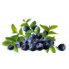 蓝莓果汁粉 蓝莓粉 果蔬粉 天然食品原料 一手厂家 货源稳定