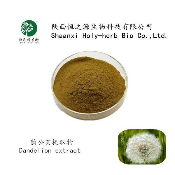 蒲公英提取物3