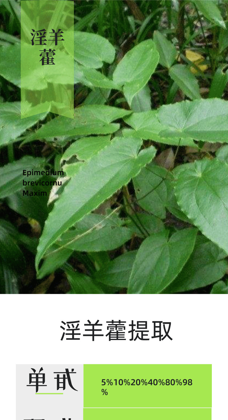 淫羊藿01