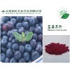 蓝莓果粉 蓝莓提取物 喷雾干燥 水溶性果粉