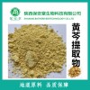 厂家现货供应黄芩提取物黄芩苷黄芩甙85%HPLC