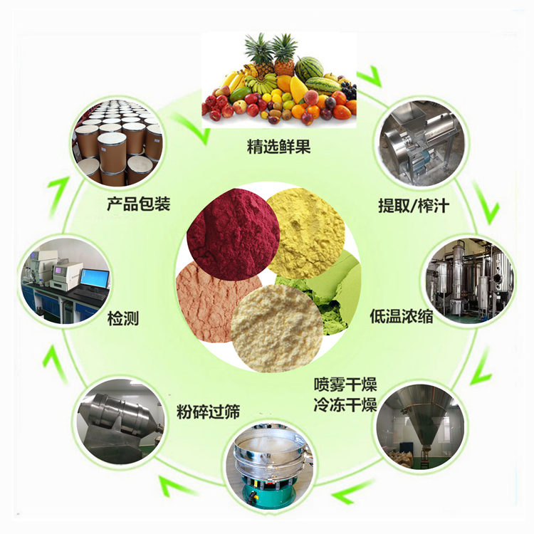 水果粉的生产工艺