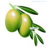 橄榄提取物（羟基酪醇1.5%-5%）