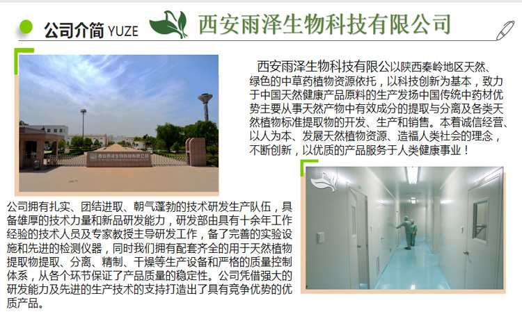 公司简介