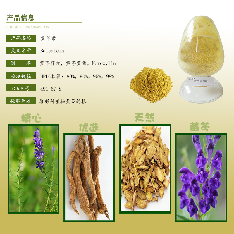 黄芩素产品介绍