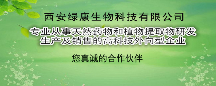 合作伙伴