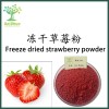 赛硕生物供应：冻干草莓粉