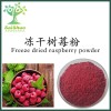 赛硕生物供应：冻干树莓粉