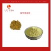 栎萍生物生产黄芩提取物黄芩苷85%