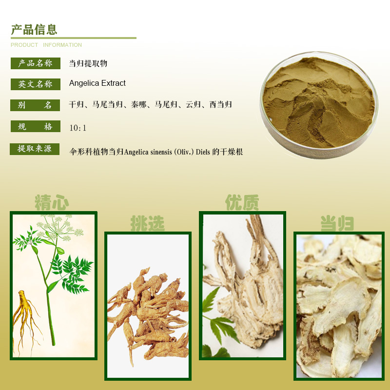 当归提取物