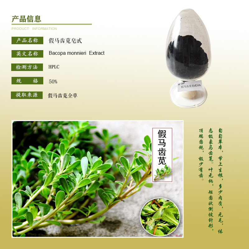假马齿苋皂甙50%