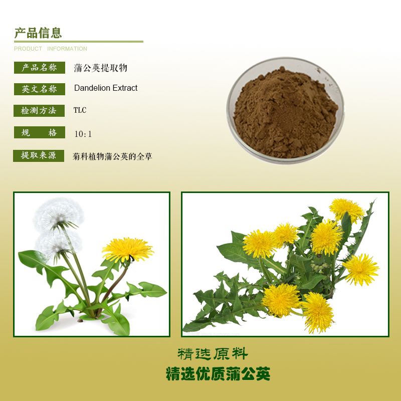 蒲公英提取物