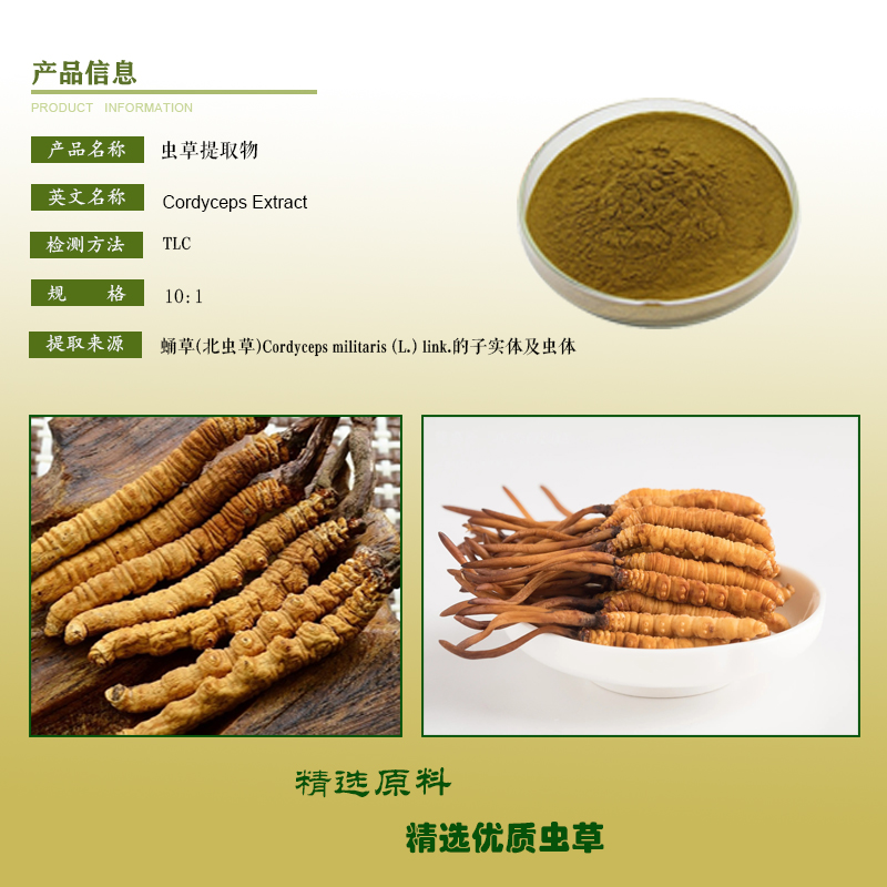 虫草提取物