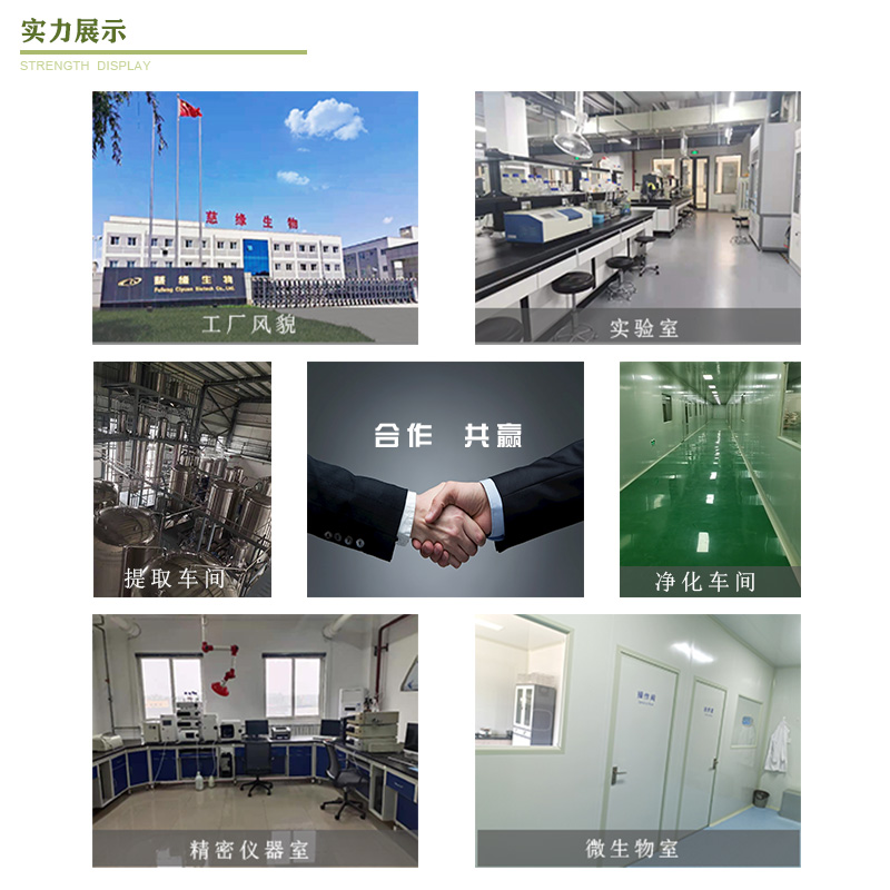 公司实力展示图