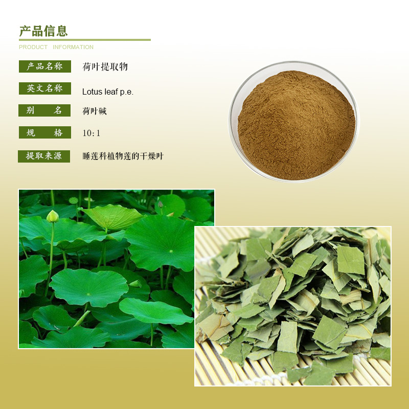 荷叶提取物