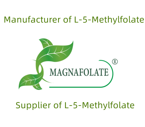logo_1
