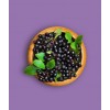 黑果腺肋花楸果（野樱莓、不老莓）浓缩汁 果汁粉