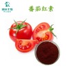 瑞沃生物番茄红素