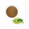 绿咖啡豆提取物 绿原酸 50% 阿拉比卡 罗布斯塔绿咖啡豆