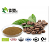 咖啡豆提取物绿原酸5%-60%水溶性咖啡豆绿原酸