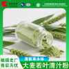 大麦苗提取物 20:1大麦苗粉 水溶 现货 喷雾干燥