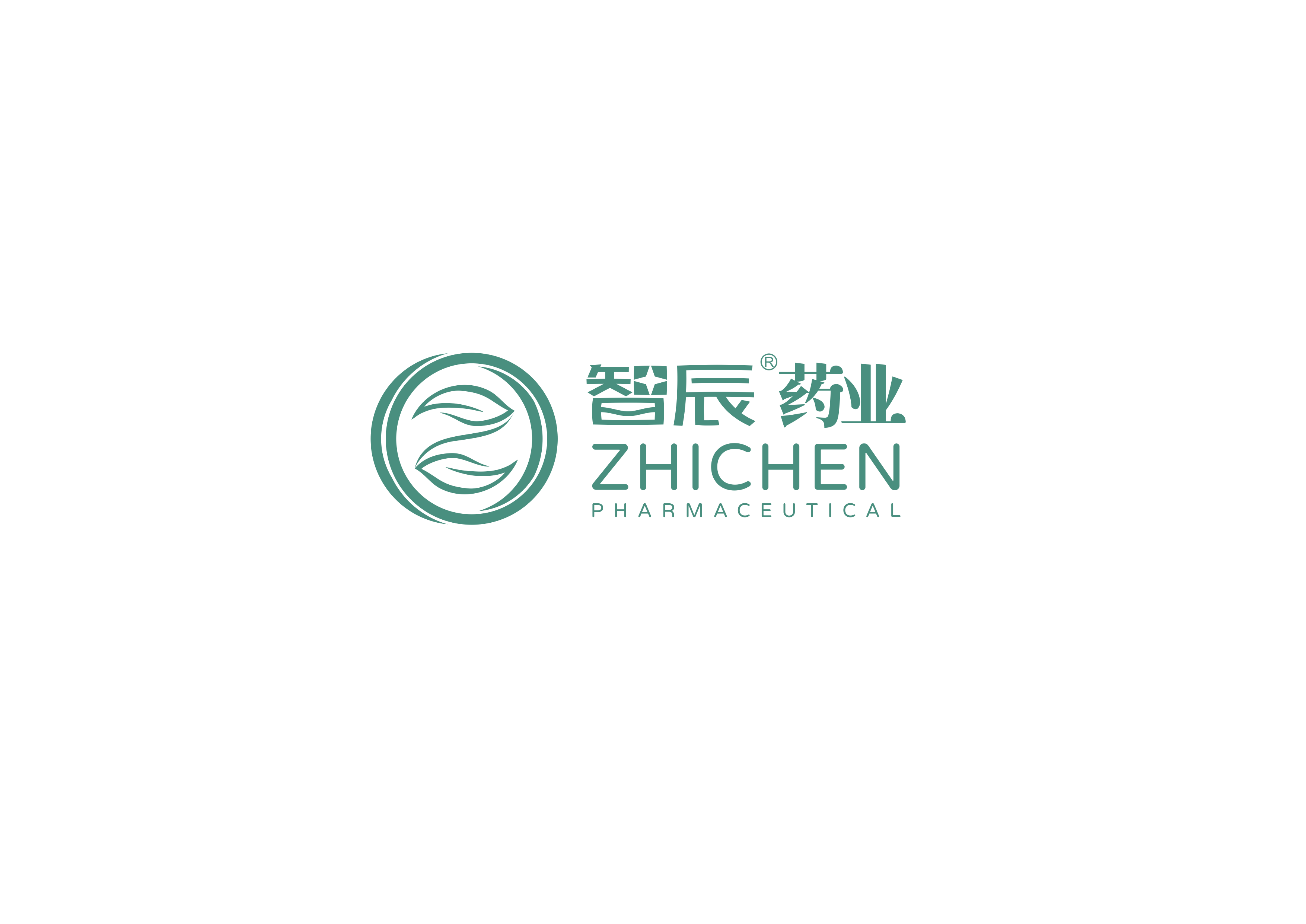 四川智辰药业有限公司
