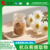 杭白菊提取物木犀草素20%杭菊花萃取粉工厂直销
