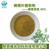 橄榄叶提取物 橄榄苦甙 陕西植优创科