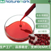 磷虾油 40%