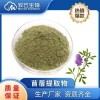 苜蓿提取物